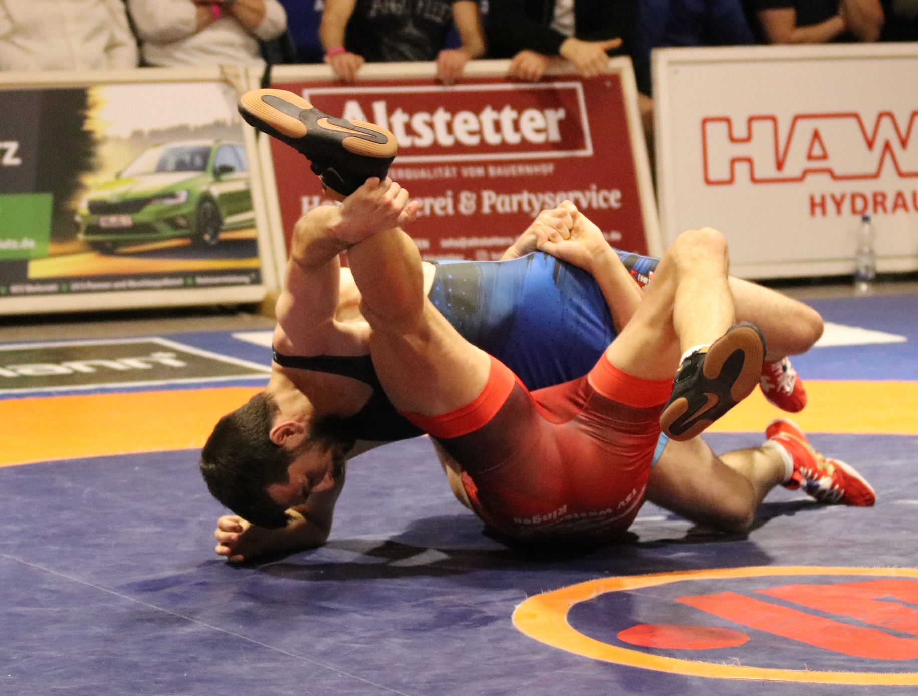 Read more about the article Überraschung fast gelungen